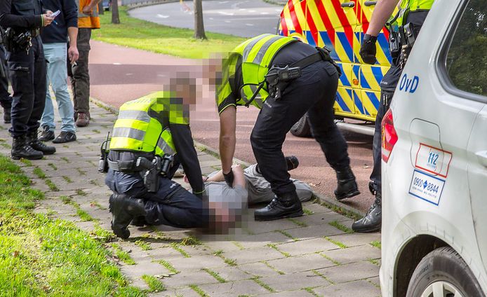 Man in Roosendaal aangehouden na wegtrekken van ladder onder snoeier.