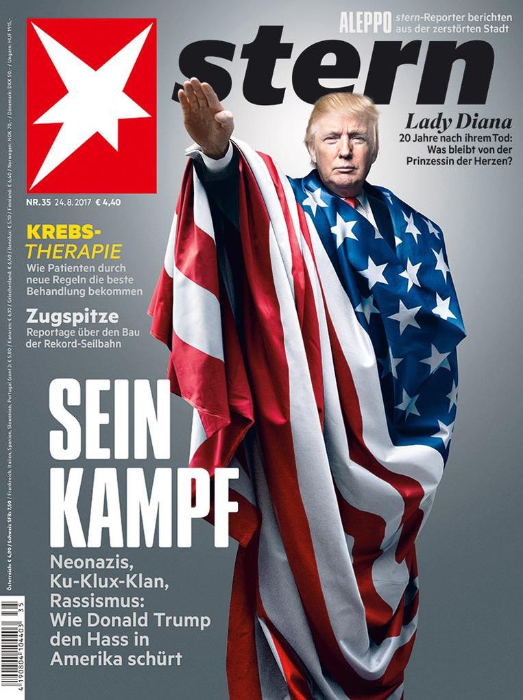 Cover Stern - Sein Kampf. Beeld  