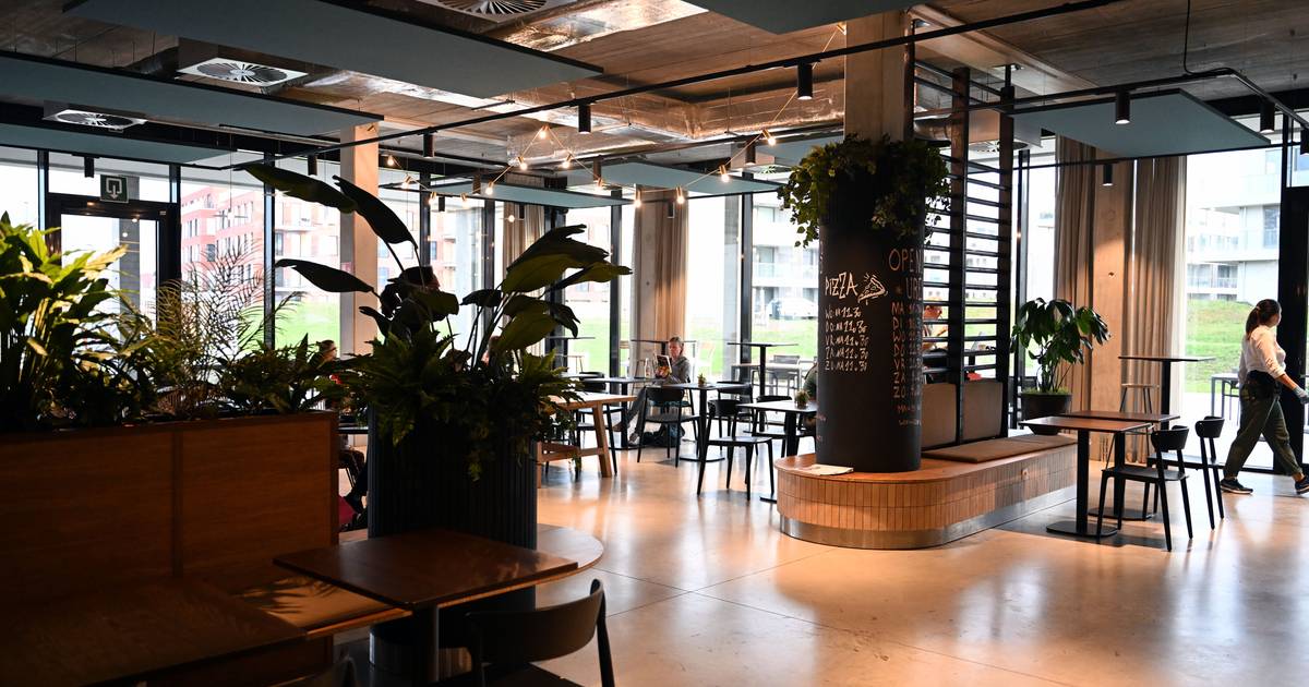 RESTOTIP. Bar Swings wordt nieuw leven ingeblazen en ontpopt zich tot