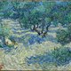 De olijfgaarden van Van Gogh tintelen op je netvlies als knetterkauwgom op je tong ★★★★☆