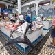 Na de crisis heeft Portugal zich heruitgevonden en dat is terug te zien in Setúbal