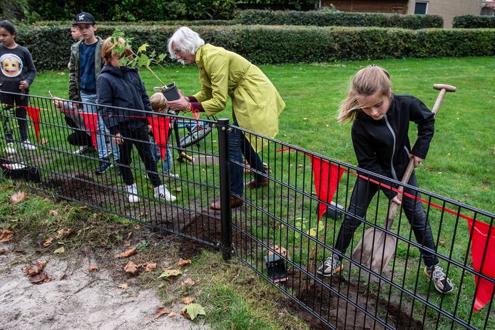 Het Hasselbraampark maakt onderdeel uit van de van Plukroute Princenhage, een van de initiatieven om Breda te vergroenen.