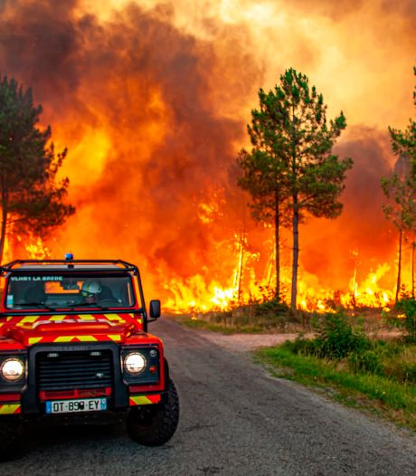 Onze reflex is meteen blussen, maar natuurbranden zijn niet alleen maar slecht