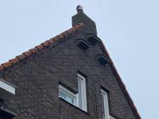 Volksverhuizing voor dakloze vleermuizen, mussen en zwaluwen, 344 nestelplekken tegen gevels in Stratum