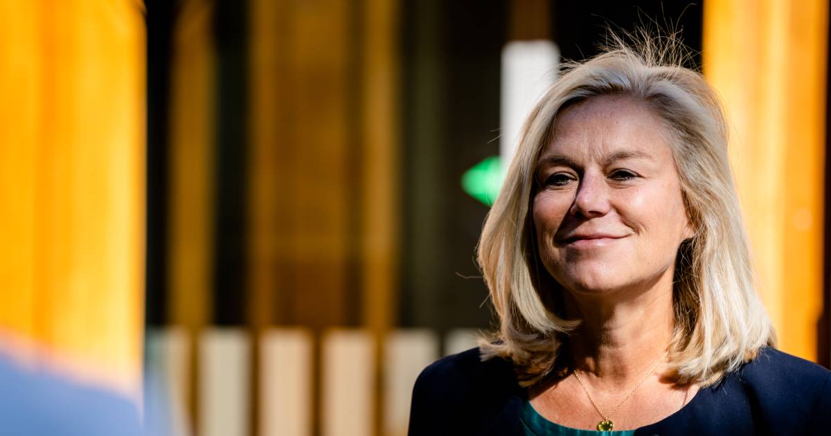 Binnen Paar Dagen Aankondiging Kandidatuur Kaag Voor Leiderschap D66 Politiek Bndestem Nl
