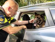 Politie extra alert op puffende honden in snikhete auto's: ‘We accepteren geen excuses’