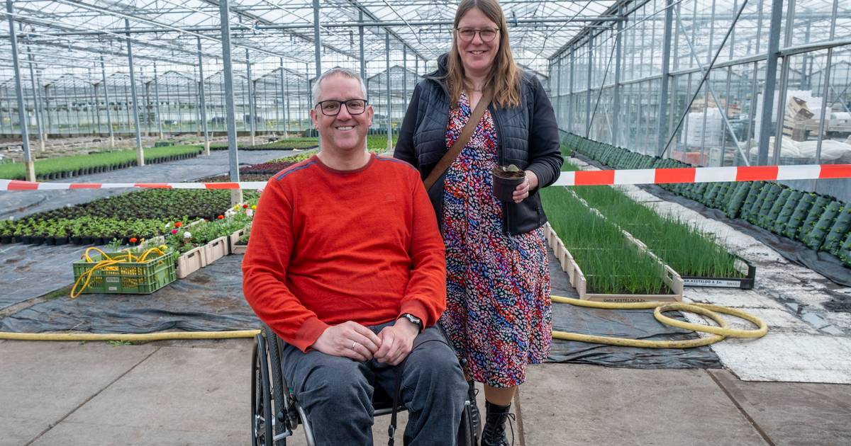 Tuinderij Kesteloo uit Koudekerke doet voor het eerst mee aan Kom in de Kas: 'In onze ogen was er vr