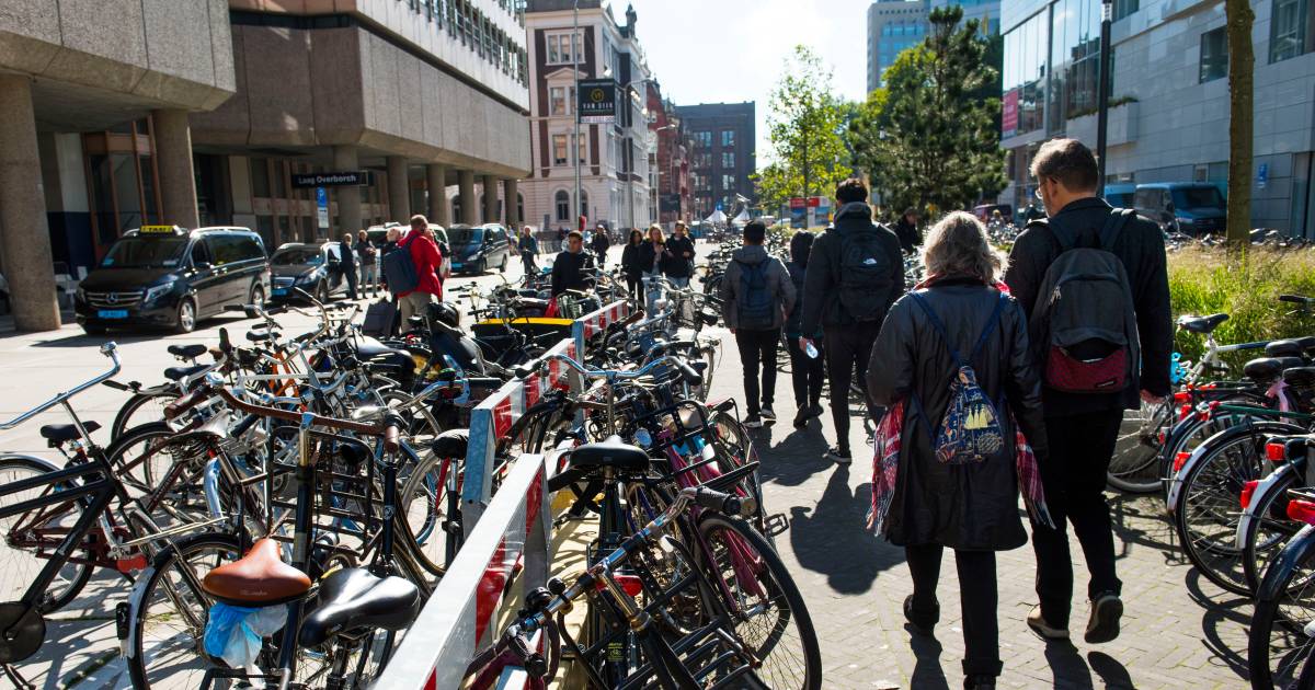 Catena agitatie Isoleren Daar is ie dan! Gemeente Utrecht kondigt fietsparkeerverbod aan voor  stationsgebied | Utrecht | gelderlander.nl