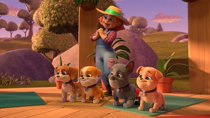 9. De crew bouwt een reuzenrad & De crew bouwt een yogaplek voor boerderijdieren