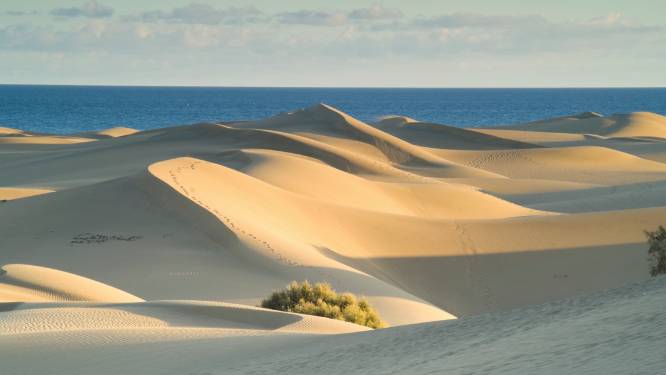 “Sekstoerisme” zorgt voor milieuproblemen in duinen op Gran Canaria