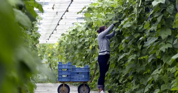 Illegale werknemer en slapen in bedrijfspand Heteren: ‘schrijnend’