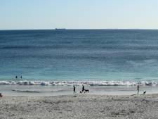 Quand le ministre néo-zélandais de la Santé va à la plage en plein confinement