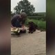 Bijna niet te geloven: hond speelt saxofoon