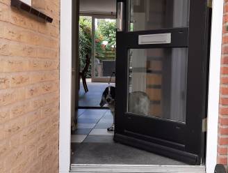 
Gft-bakken worden in de zomer minder vaak geleegd: vijf tips om stank te voorkomen