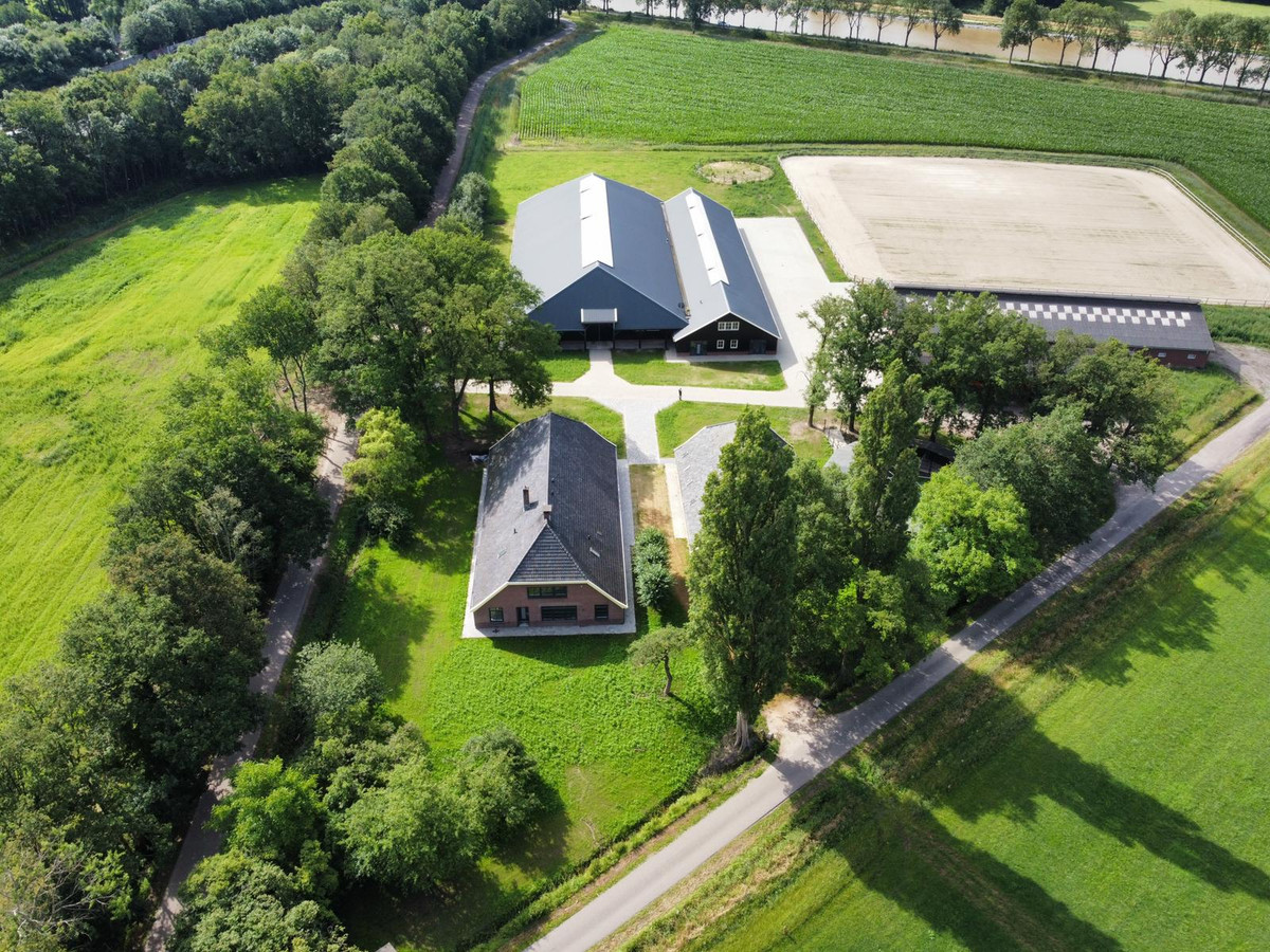 Paard zoekt Baas heeft in Ambt Delden ideale opvang voor verwaarloosde paarden gevonden Foto