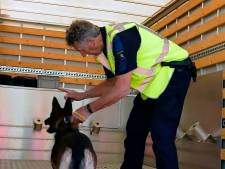 Hoe verslaan we het drugsbeest in Nijverdal? ‘Zet regelmatig honden in op Reggesteyn en sportkantines’