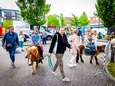 Puttershoek (en omstreken) omarmt Ponymarkt na jaren afwezigheid