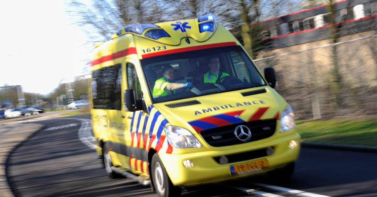 Meisje omgekomen bij ernstig ongeval op A73 in Limburg.