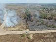 Een hectare aan natuur is verloren gegaan bij de brand. Rechtenvrij