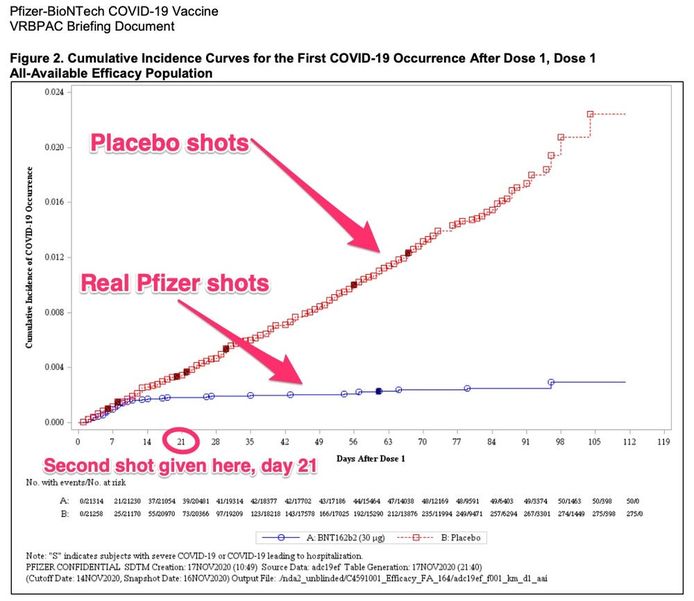 La ligne rouge représente les personnes ayant reçu un placebo. La bleue représente quant à elle les personnes ayant reçu une injection du vrai vaccin Pfizer.