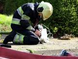Brandweer reanimeert kat na Friese woningbrand