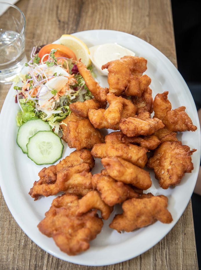 In deze kibbeling van Albert Heijn zit geen flinter vis (wel rijst en mais) Koken & Eten pzc.nl