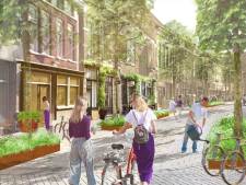 Groen licht voor compacte Bergse binnenstad