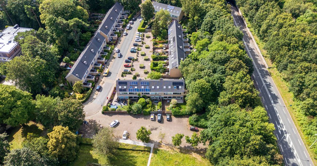 Politiek besluit over toekomstig autoverkeer in Den Dolder: ‘Onvermijdelijk door woonstraten’
