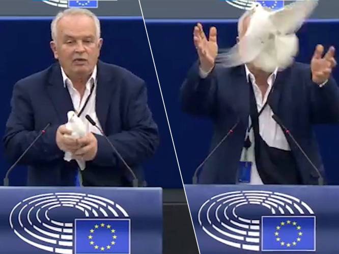 KIJK. Bizarre stunt: Slovaaks Europarlementslid tovert witte duif tevoorschijn als “teken van vrede” 