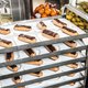 'Topdokters' tegen obesitas: 'Het grote probleem is dat eten tegenwoordig overal aanwezig is'