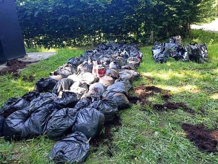 Een honderdtal vuilzakken gevuld met restanten van cannabisplanten en teelaarde werden aangetroffen langs de Miksebaan