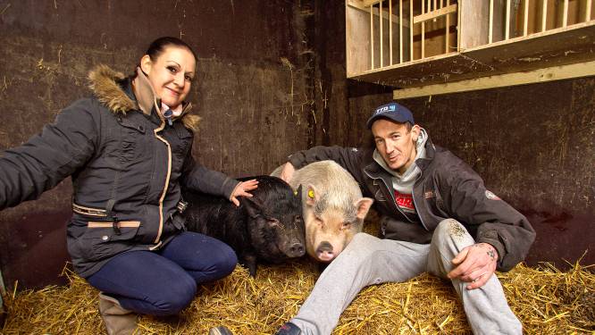 Beheerder Dierenwei na inbeslagname van ganzen: ‘Ik ben kapot, dit mag juridisch niet’