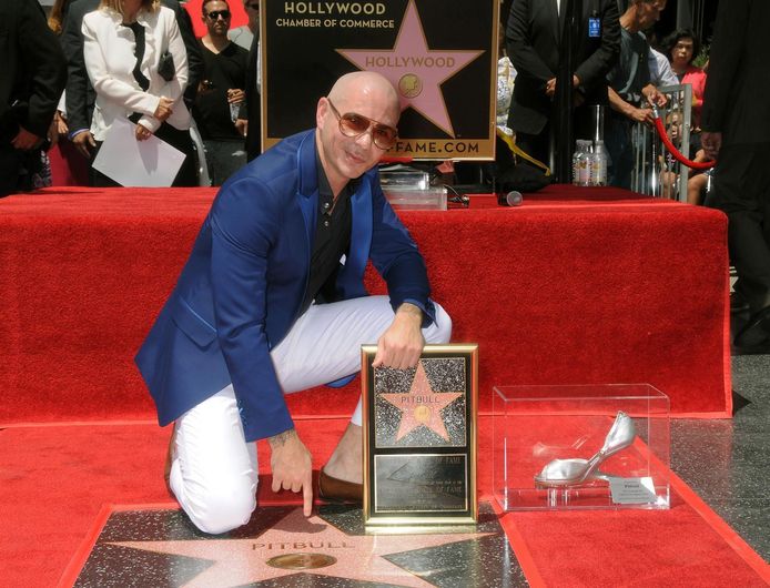 Le Rappeur Pitbull A Son Etoile People 7sur7 Be