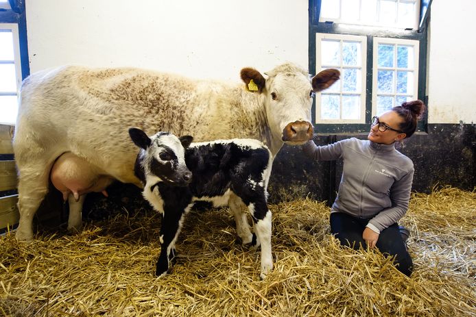 Dieren met hun verzorger bij het Buitenbeest in Zoetermeer.