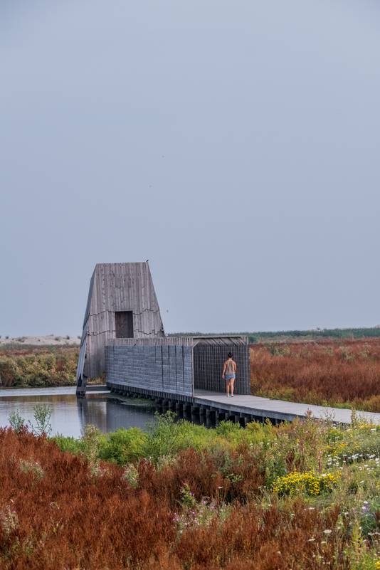 Slapen Op De Marker Wadden Vogels Verbreken Oorverdovende Stilte Reizen Ad Nl