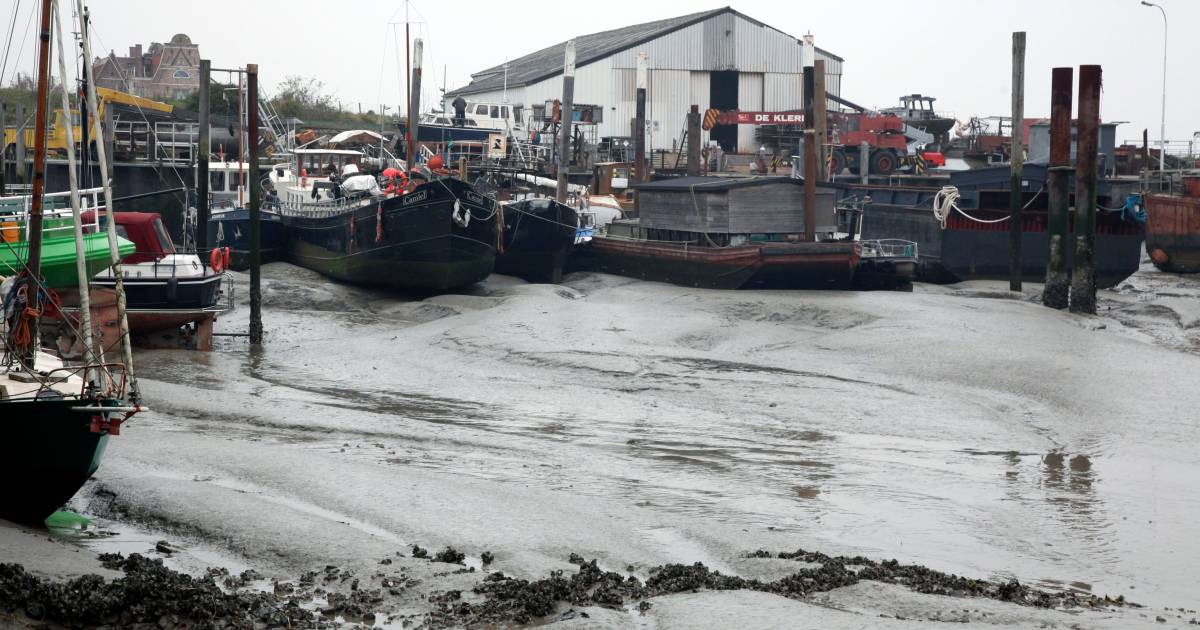 Eindelijk duidelijkheid: Hulst koopt de haven van Walsoorden voor 1,6 miljoen euro