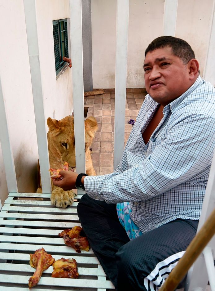 Omar Rodriguez, de eigenaar van de leeuwen.