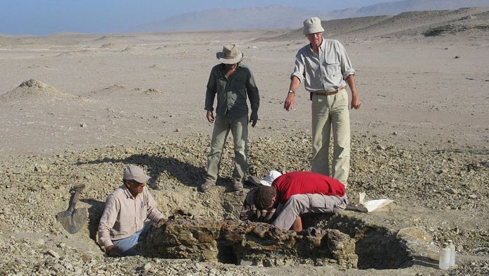 Twitter @RBINSmuseum