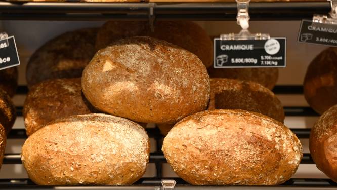 Bakkersfederatie: "Niet ondenkbaar dat brood binnenkort 3 euro kost"