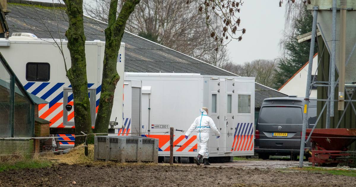 Laboratoire de drogue découvert dans la grange de Millingse : Arnhemmer (41 ans) et Apeldoorner (57 ans) arrêtés |  Montagne et vallée