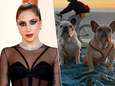 Lady Gaga weigert vindersloon voor gestolen honden te betalen en wil rechtszaak laten seponeren