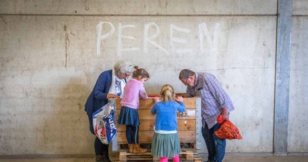 Akkerbouwer is stomverbaasd over stormloop op 'waardeloze' aardappelen - BN DeStem