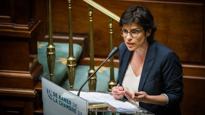 Plan van minister Van der Straeten: 4,7 miljard euro halen bij energieproducenten