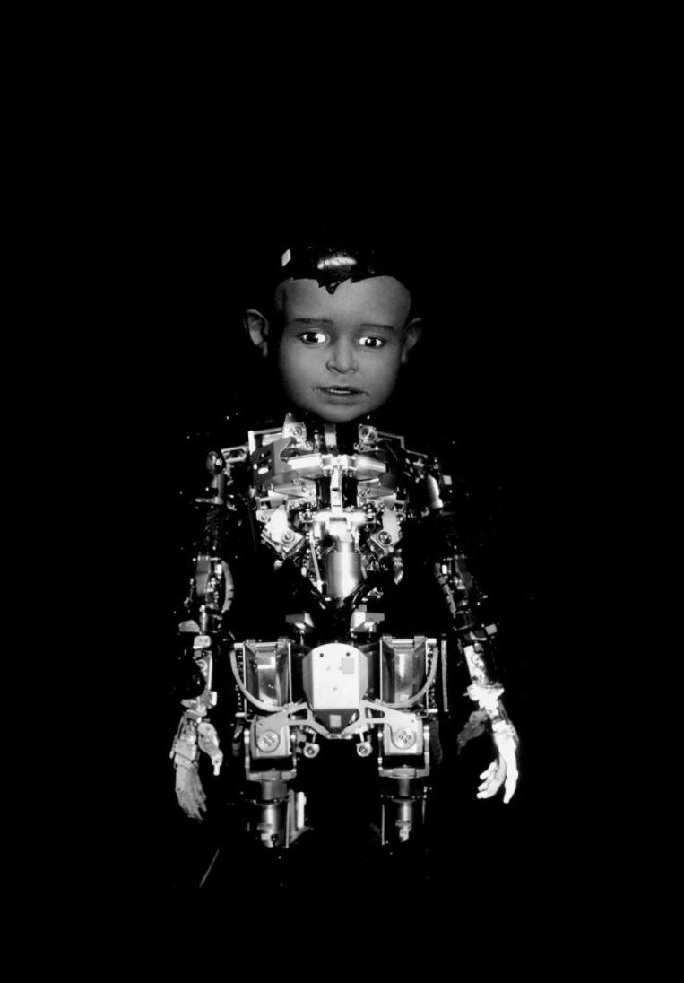 Robot Diego-san. Beeld Wanda Tuerlinckx