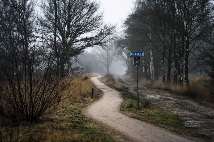 De Strabrechtse Heide.