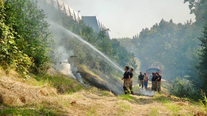 Gemeenten ondernemen actie na alarm over droge bermen: ‘Vonk kan leiden tot onbeheersbare brand’