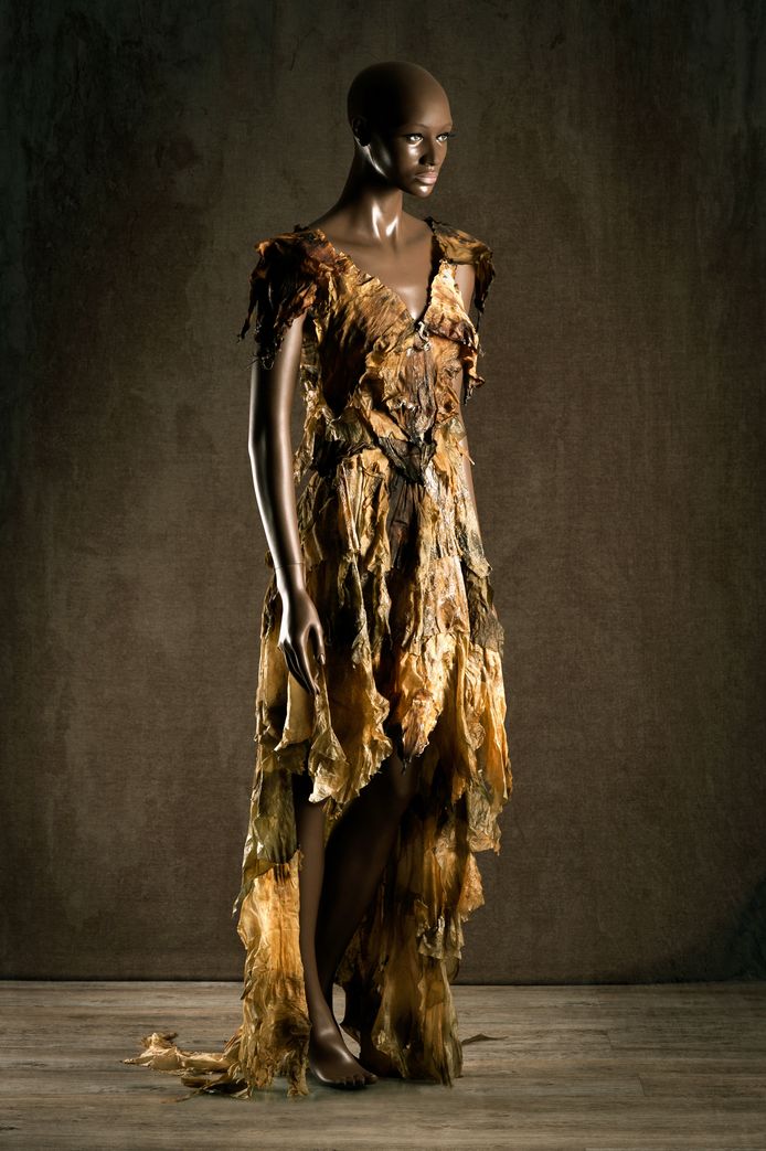 1 Agnes van Dijk bewerkte ook zeewier tot een elegante en draagbare jurk.