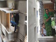 Un homme escalade un immeuble pour secourir un chat coincé
