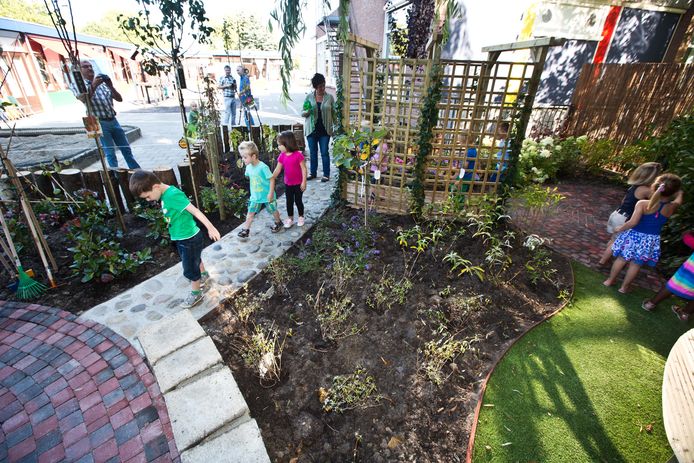 Een groen schoolplein in Naaldwijk.