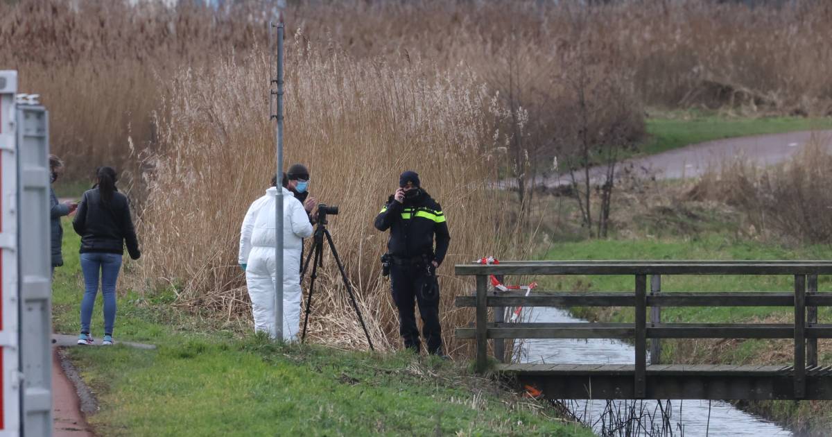 Overleden persoon gevonden langs Molenwetering in Rijswijk, politie doet onderzoek .